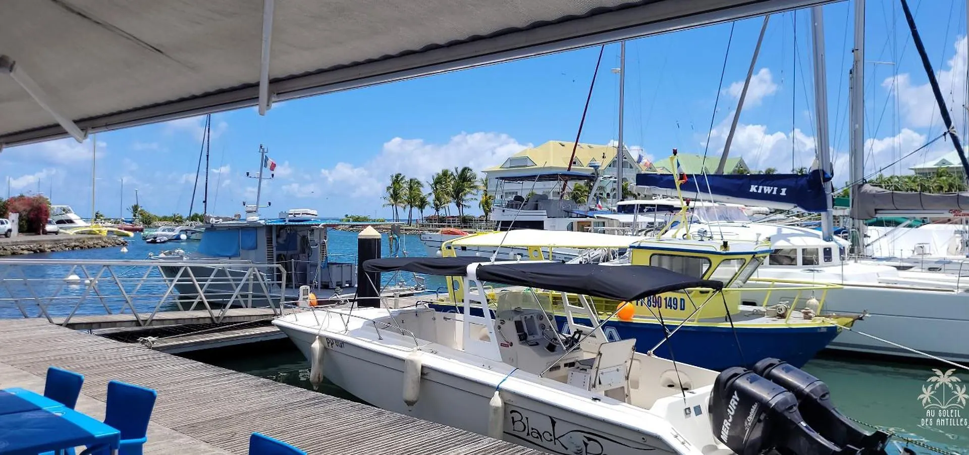 Studio Mer 2/3 A 4 Pers - Face A La Mer Courcelles Guadeloupe
